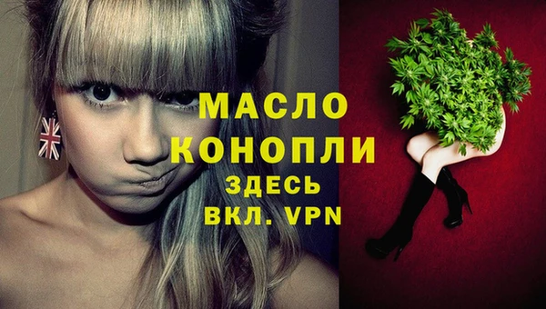 гашик Алексеевка