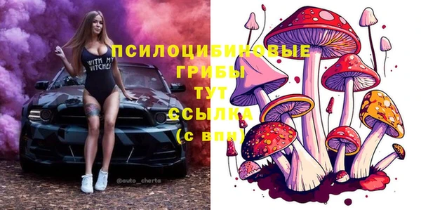 ALPHA PVP Осинники